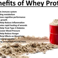 Protein powder uses